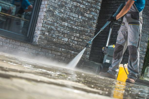 Best Driveway Pressure Washing  in Eatonville, FL